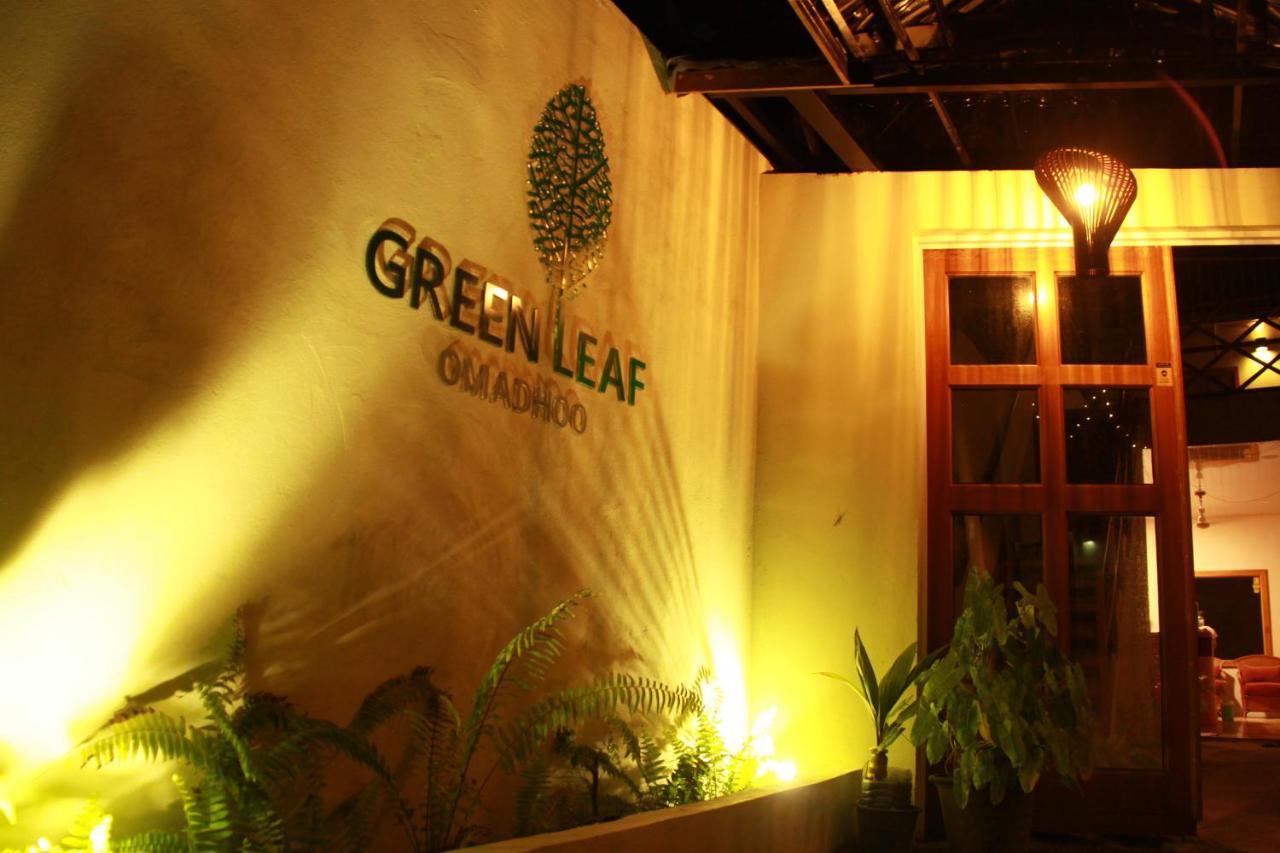 Green Leaf Guest House - Omadhoo ภายนอก รูปภาพ